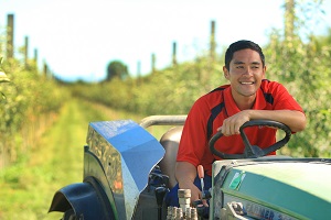 Seasonal labour shortages in Hawke’s Bay and Bay of Plenty – Ministry of Social Development
